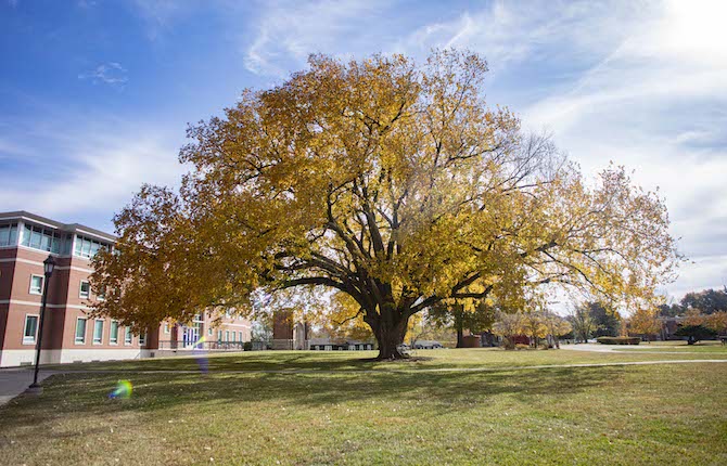 Hannibal Lagrange Trinity Tree